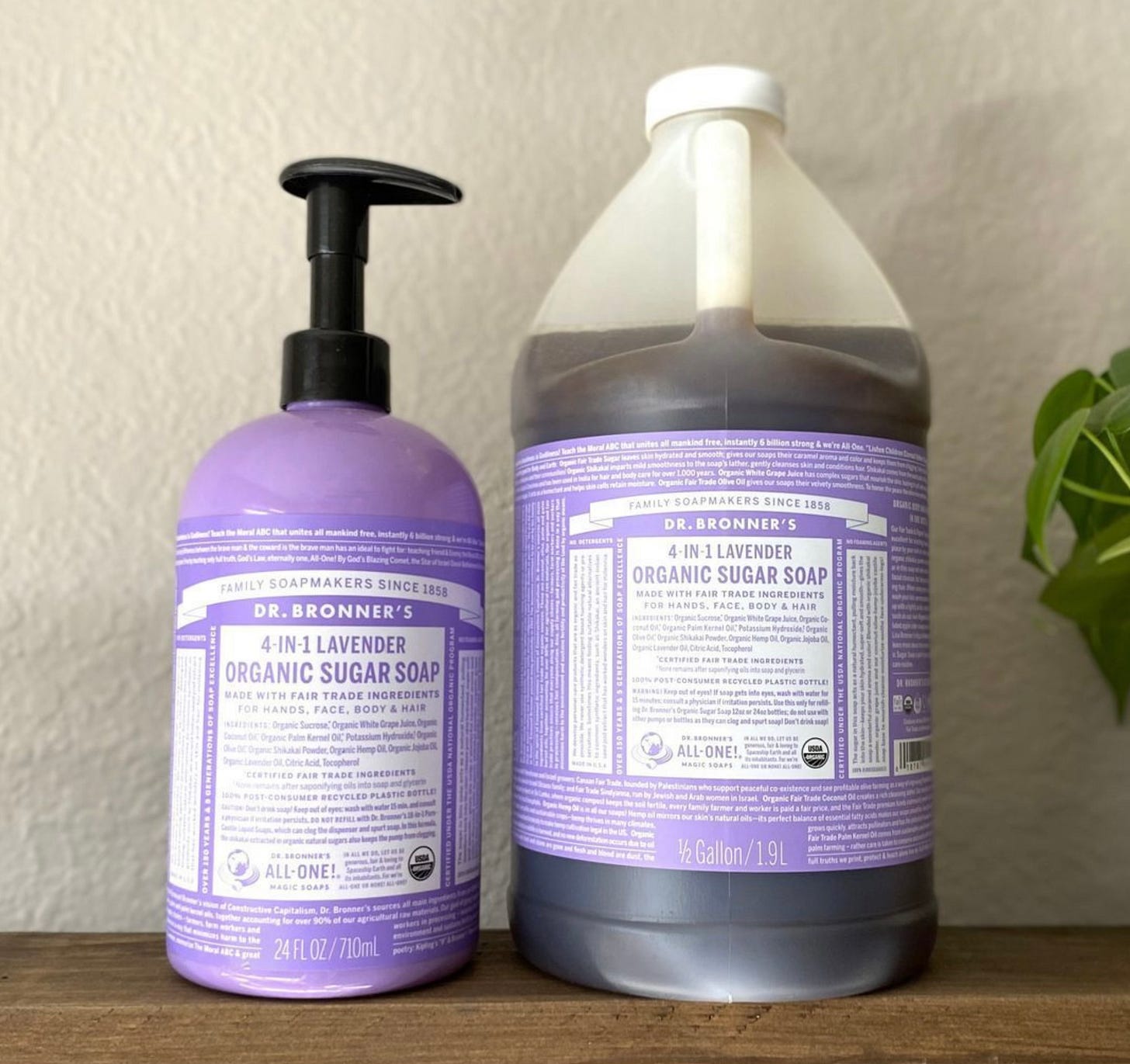 Photo of Dr Bronner's lavender organic sugar soap in a pump bottle as well as the 1/2 galllon refill bottle Photo of Dr Bronner's lavender organic sugar soap in a pump bottle as well as the 1/2 galllon refill bottle