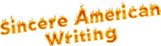 Michael Mohr's Sincere American Writing