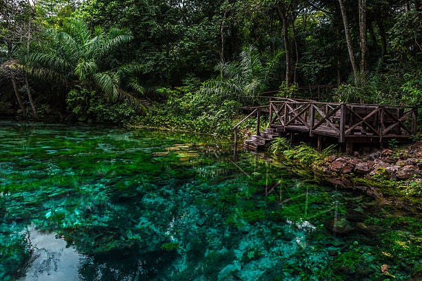 510+ Bonito Mato Grosso Do Sul Stock Photos, Pictures & Royalty-Free Images  - iStock | Rio de janeiro, Florianopolis, Recife