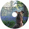Lullabies and Life-Notes - A Folk Singer's Family Melody 