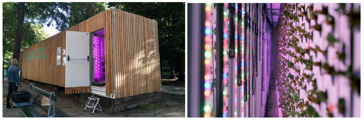 The Adaptive Economy, Djoann Fal,