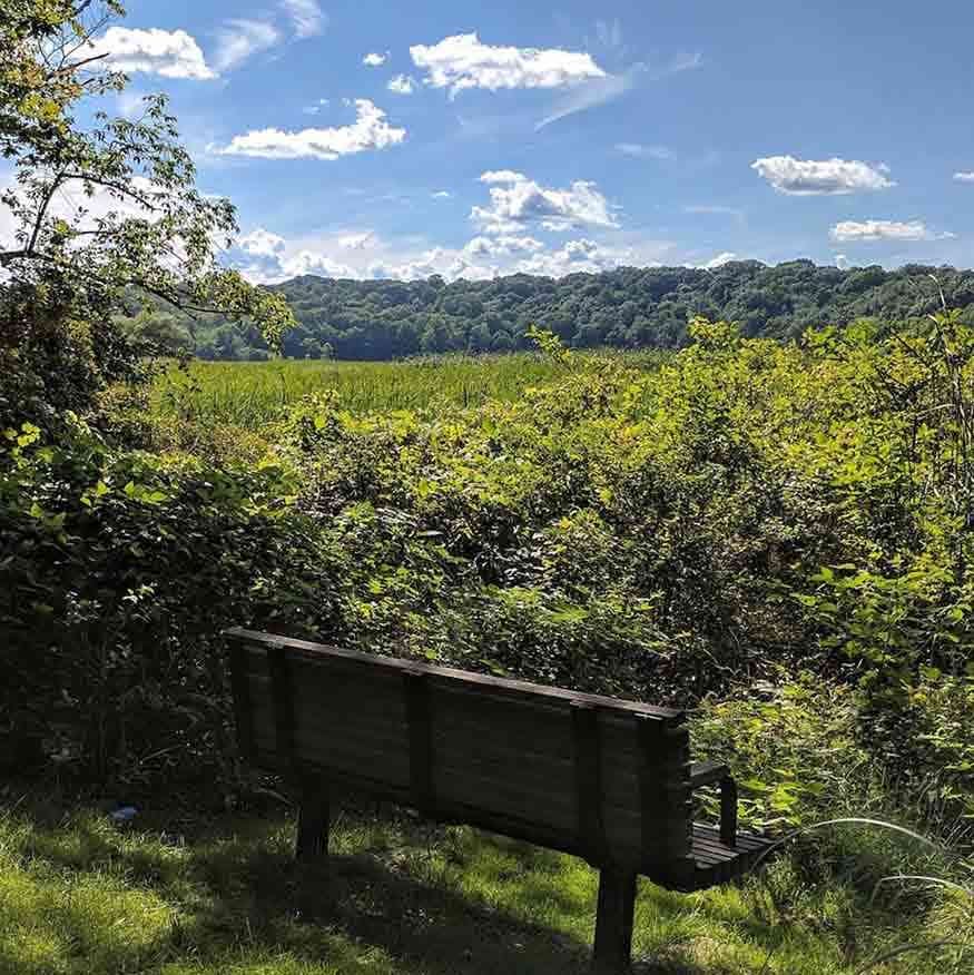 Things to do around Rochester NY: Monroe County Parks Lucien Moren Things to do around Rochester NY: Monroe County Parks Lucien Moren