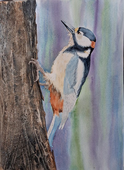 Elizabeth Tomkins process images
