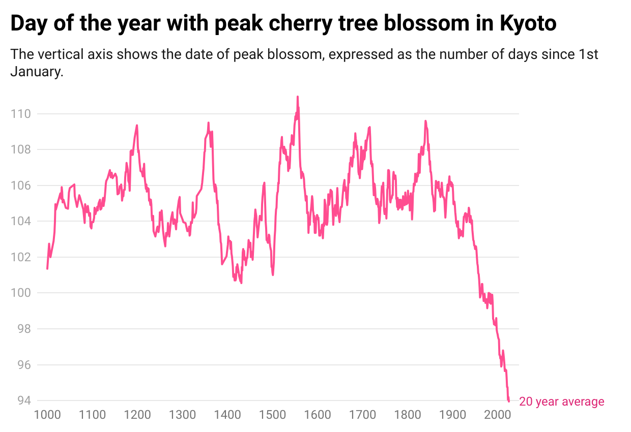ZyIQ3-day-of-the-year-with-peak-cherry-tree-blossom-in-kyoto- (1).png