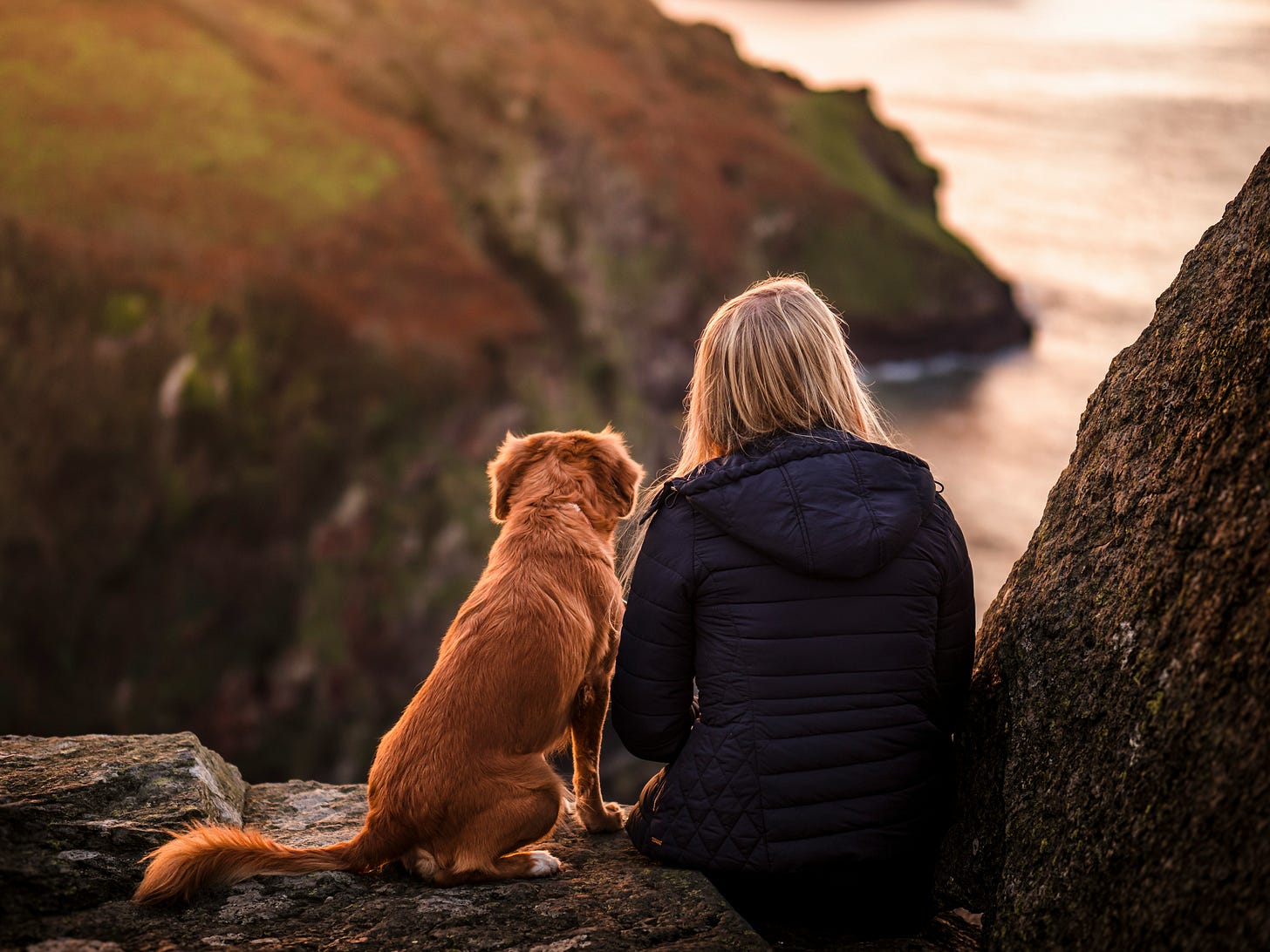 woman and dog sit on rocks looking out over the ocean woman and dog sit on rocks looking out over the ocean
