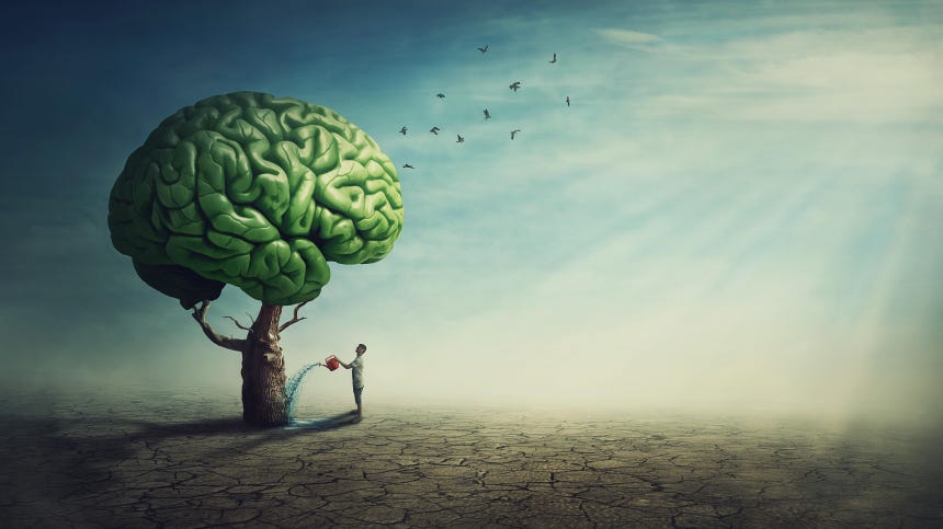 THE MENTAL HEALTH MAFIA