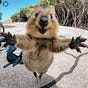 Glorious Maximus's avatar