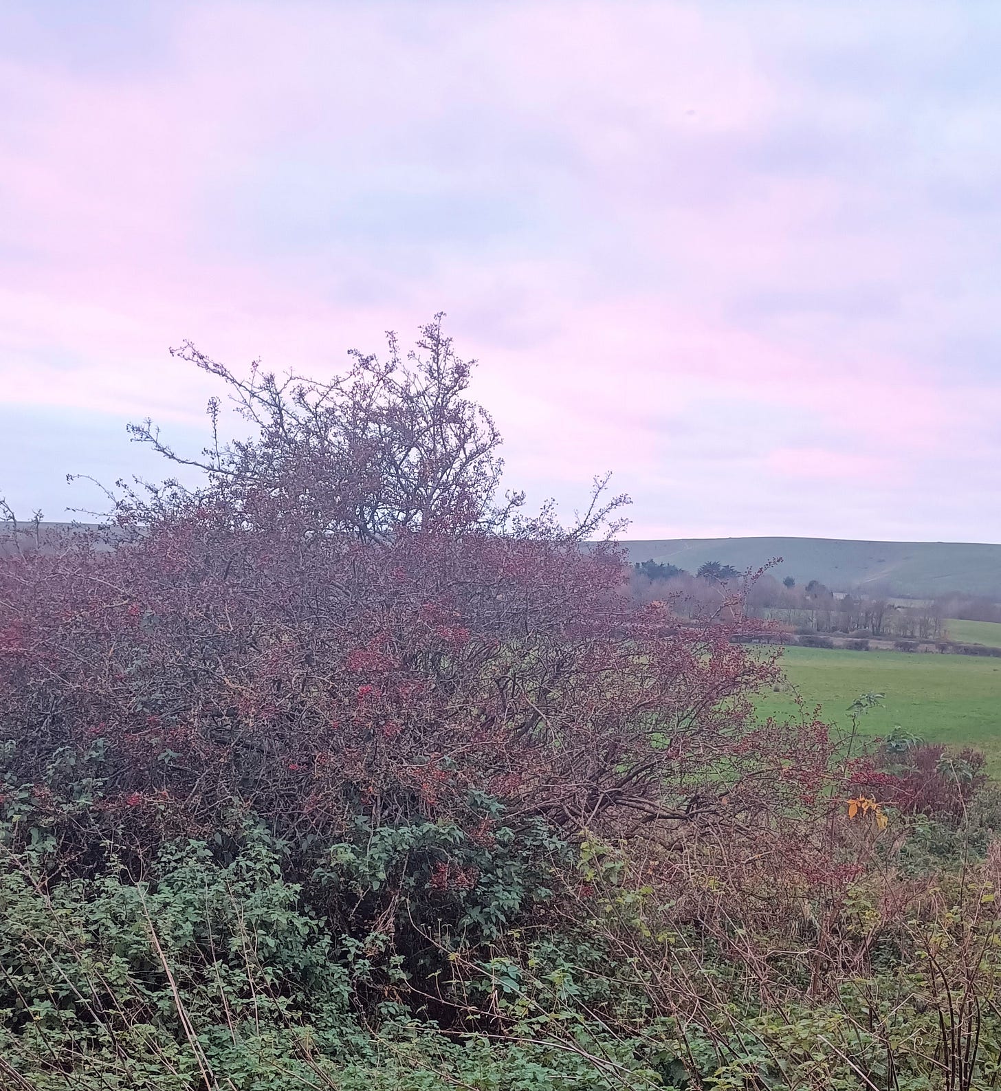 Photo by tomrambler319