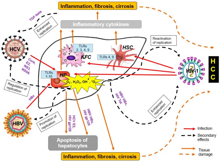 An external file that holds a picture, illustration, etc.
Object name is cancers-13-00305-g001.jpg An external file that holds a picture, illustration, etc.
Object name is cancers-13-00305-g001.jpg