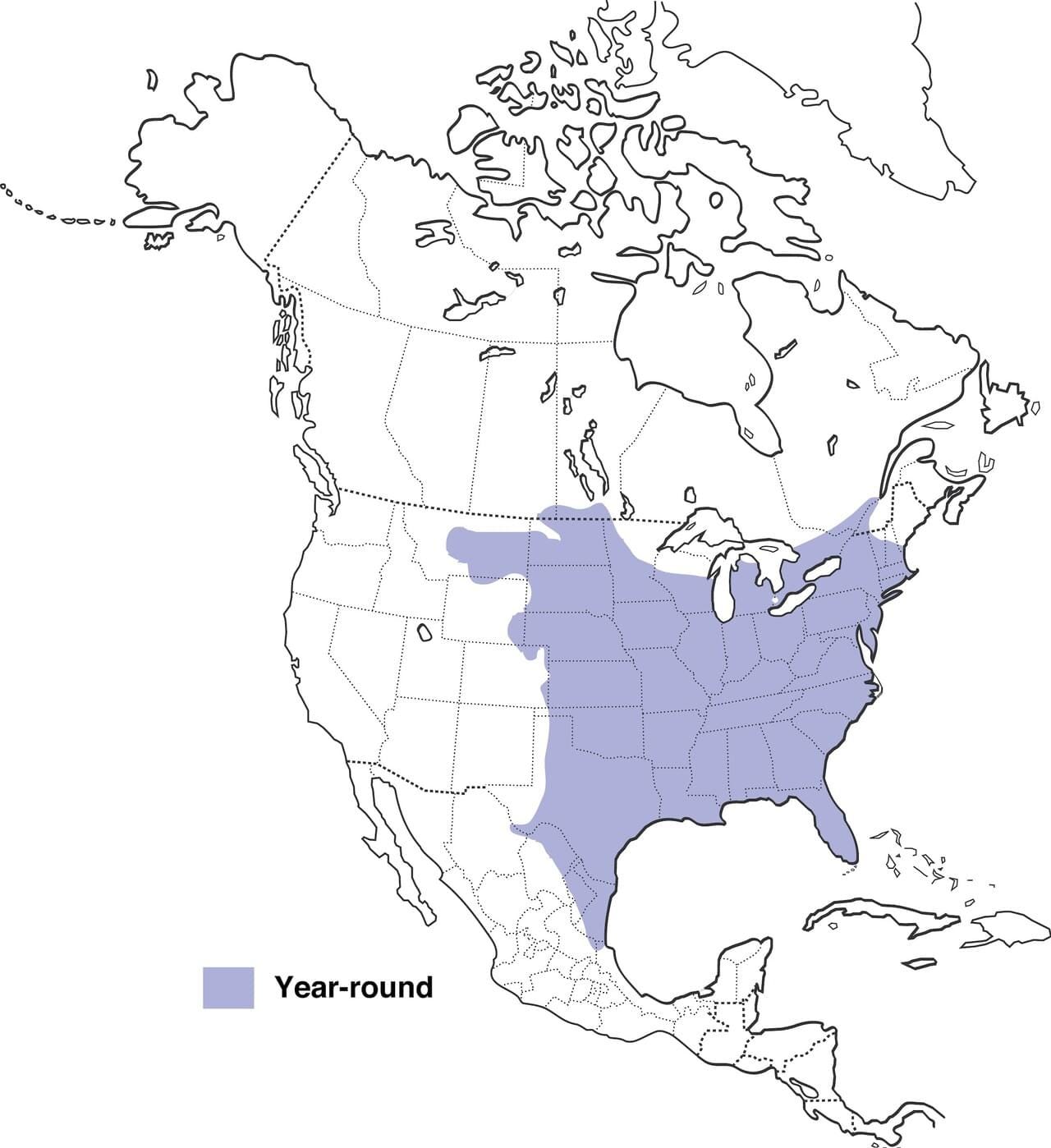 Map of North America, with Eastern half from roughly Texas up to Canadian border shaded showing the range of the Eastern Screech-Owl