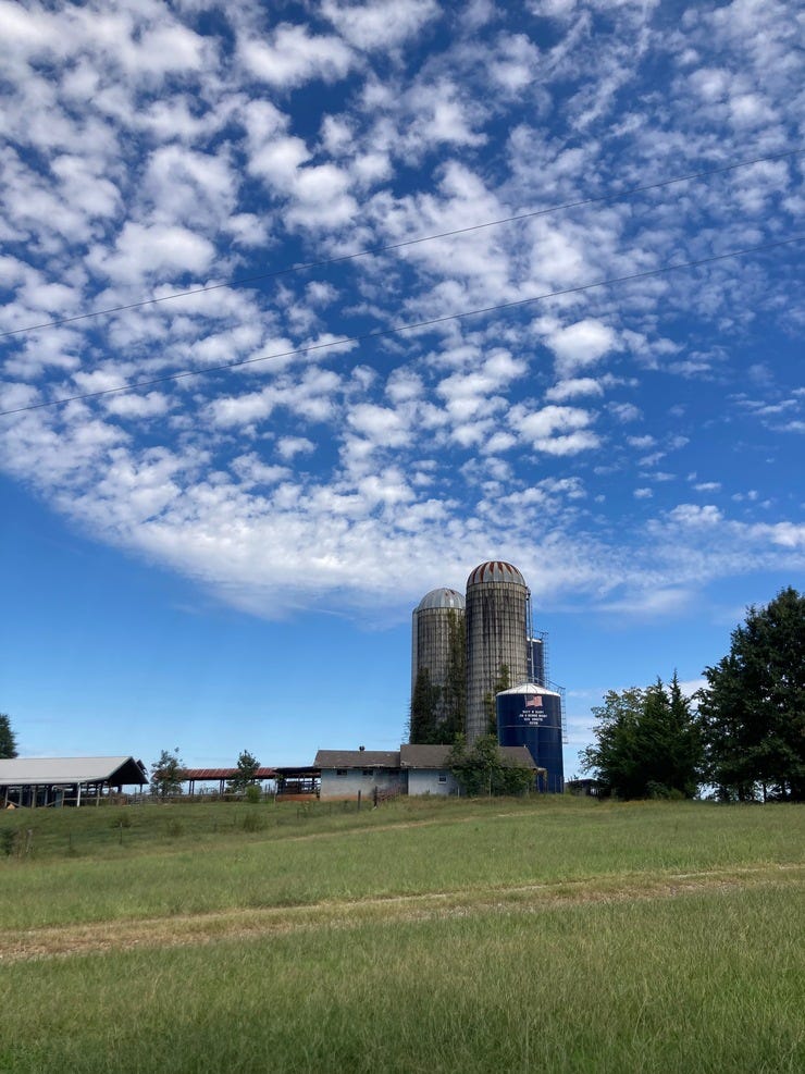 Blue, blue sky