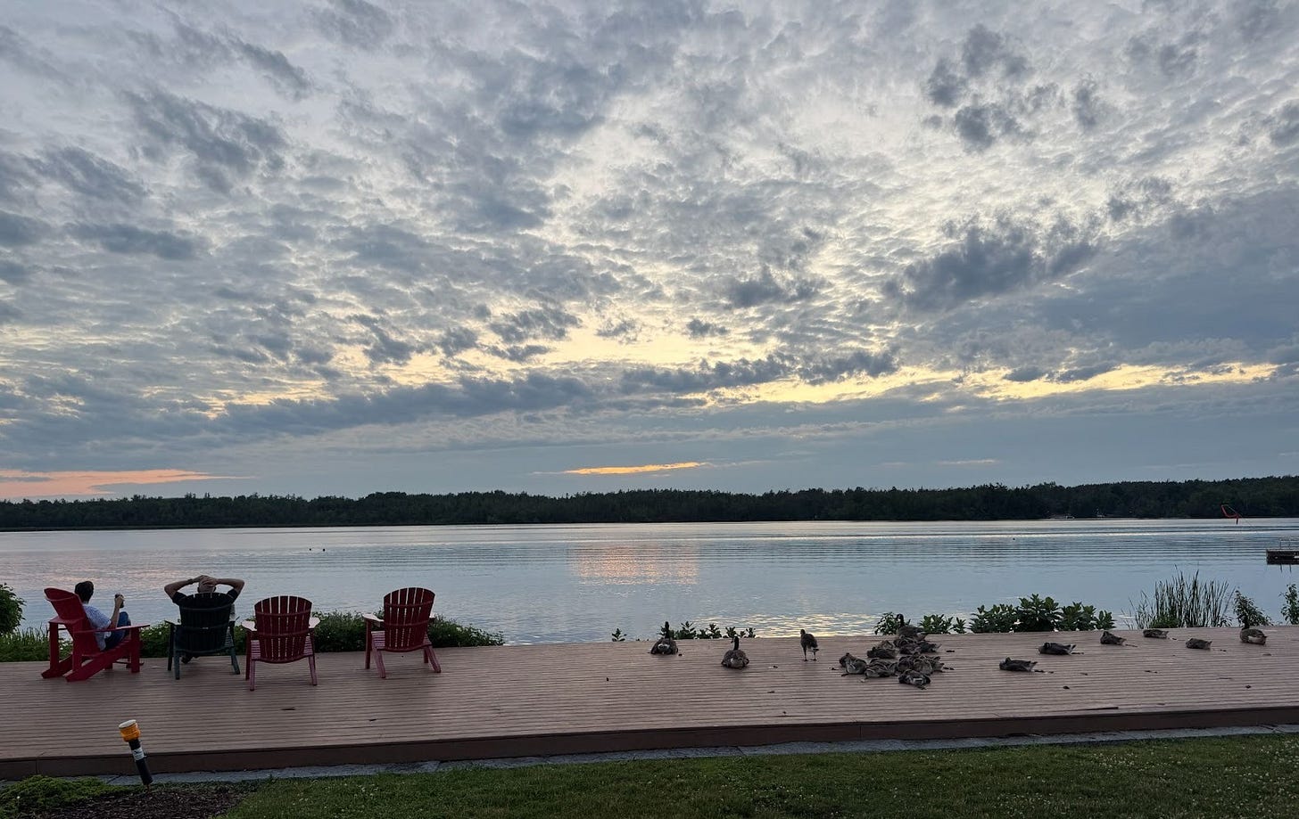 A lakeside wooden deck at dusk with overcast skies. Two people sit on Adirondack chairs on the left side of the deck, one using a phone and the other reclining with hands behind head. Several other empty red and black Adirondack chairs are nearby. A group of ducks or geese rest on the right side of the deck. Calm water, a distant tree-lined shore, and a floating dock are visible in the background.