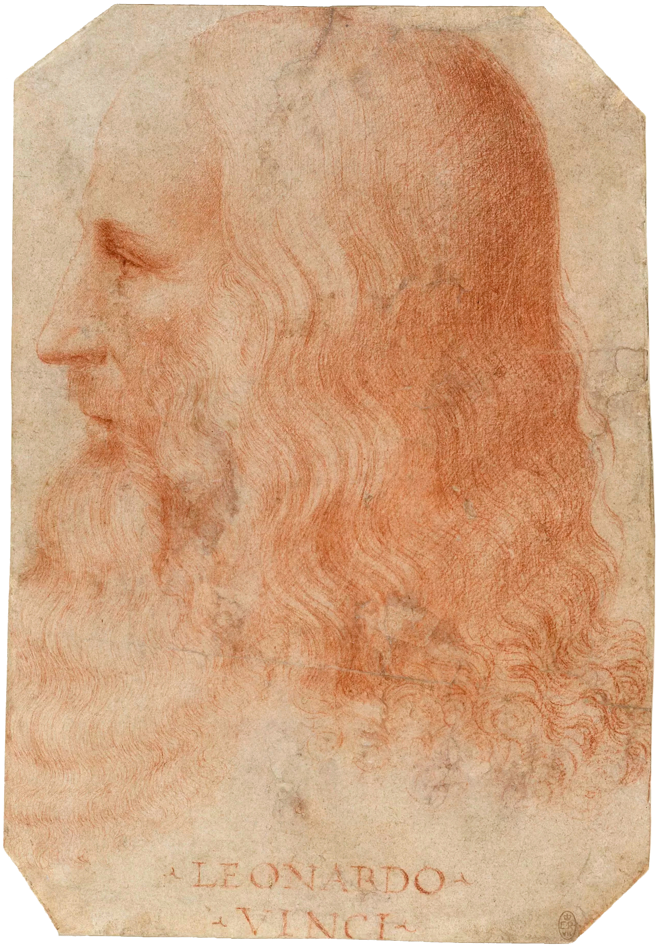 Portrait of Leonardo da Vinci Portrait of Leonardo da Vinci
