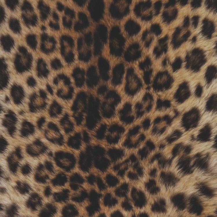 memoirs from the heights