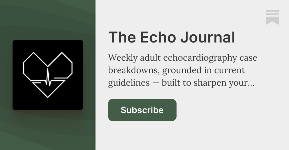 The Echo Journal | Aram K. | Substack