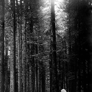 I Saw Christ on a Hill