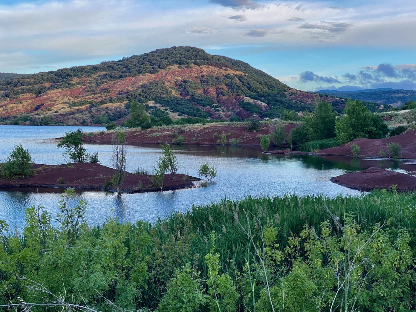 Bikepacking avec les papillons
