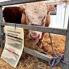 5 things you only see at The New Forest Show