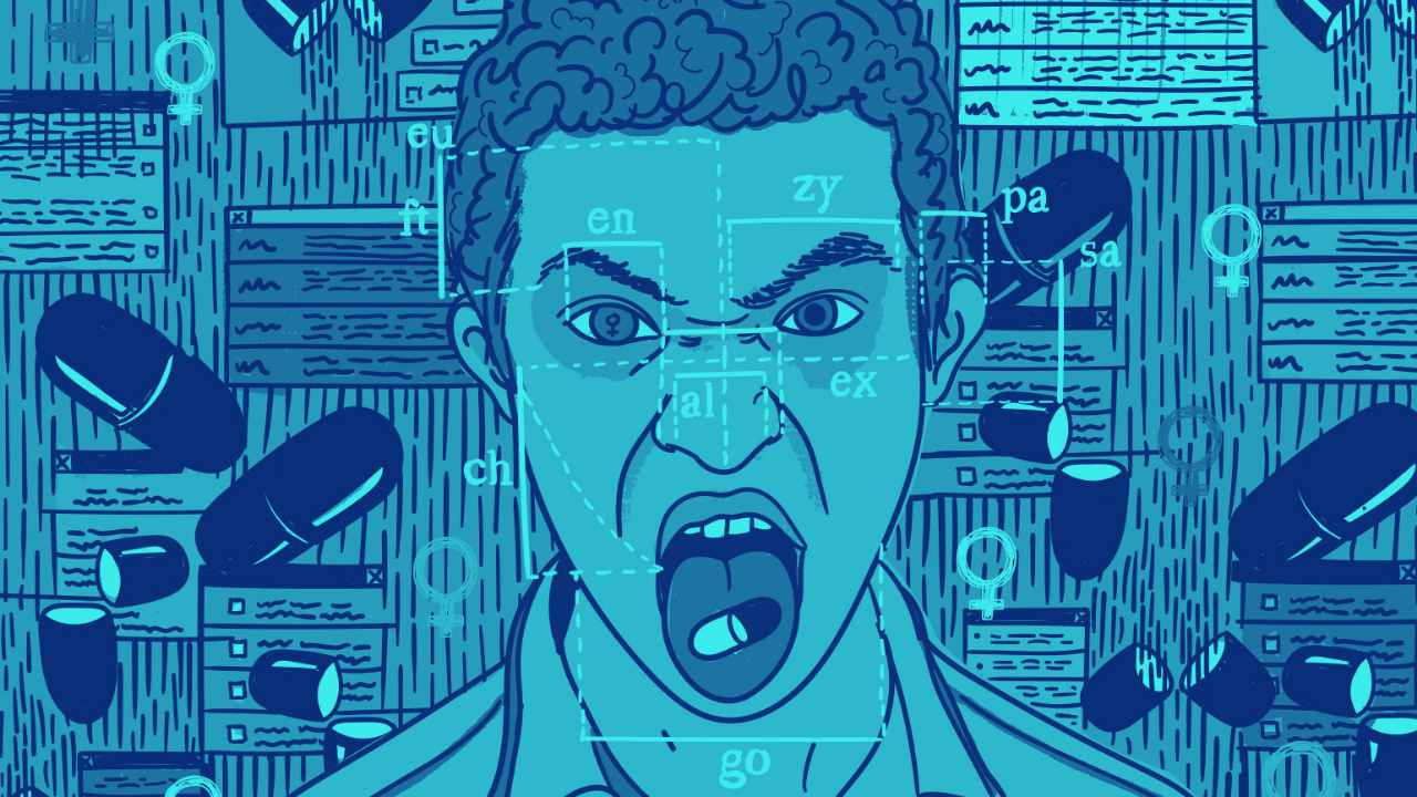 Incel and the Incelosphere: An overview of current research and  understanding