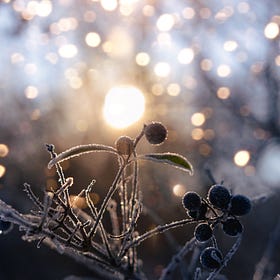 Winter Solstice Yule Ritual