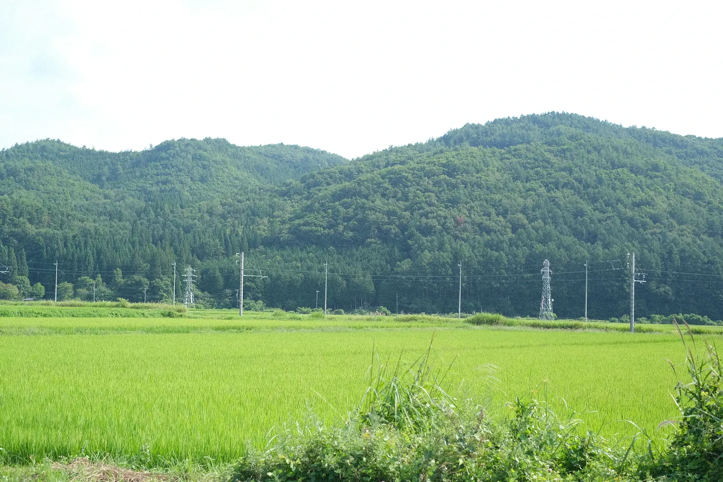 Post image 6