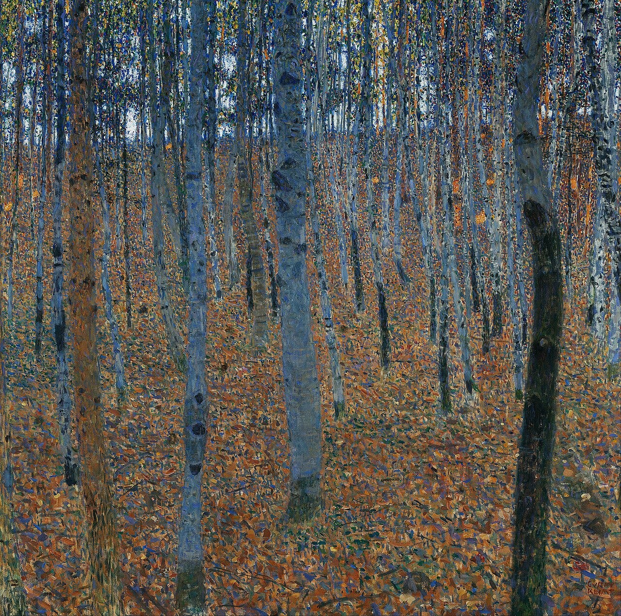 A square canvas filled with slender birch trunks and a floor of golden autumn leaves, no sky visible A square canvas filled with slender birch trunks and a floor of golden autumn leaves, no sky visible