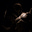 Toluwalope Opaleye's avatar