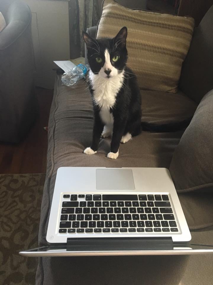 No photo description available.