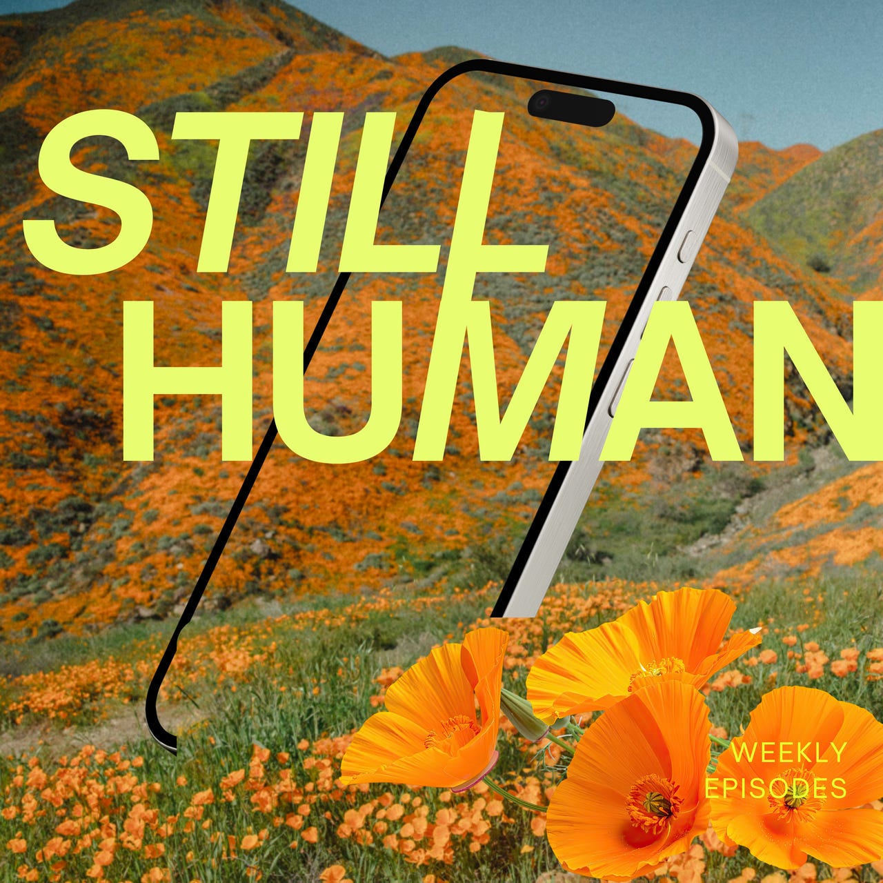 Still Human