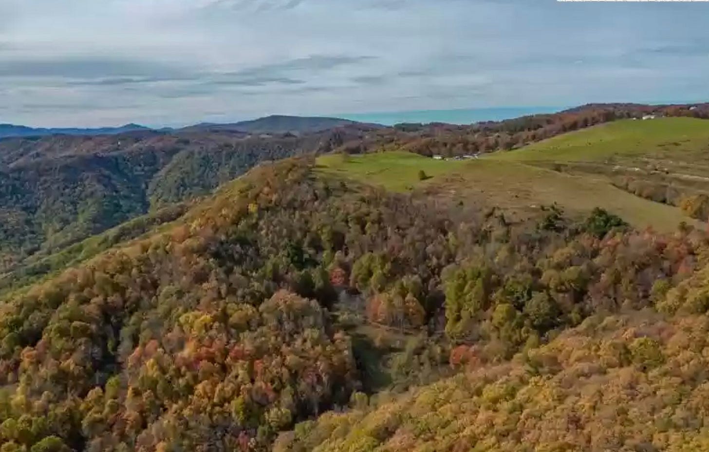 Look at this—We can start our tribe here! Look at this—We can start our tribe here!