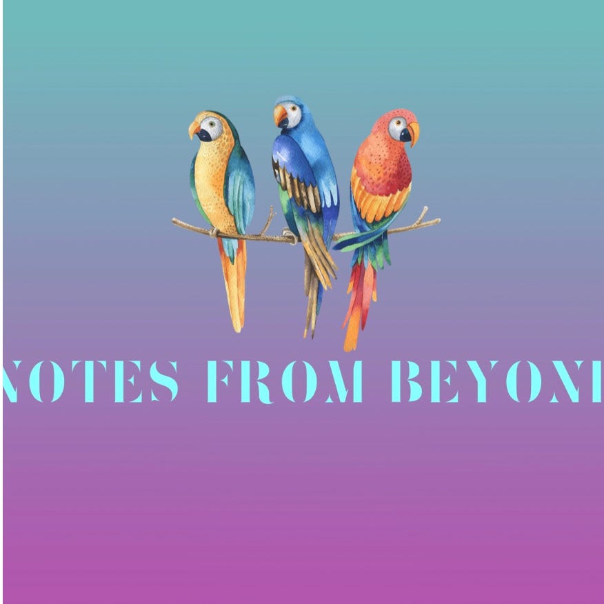 Notes from Beyond logo