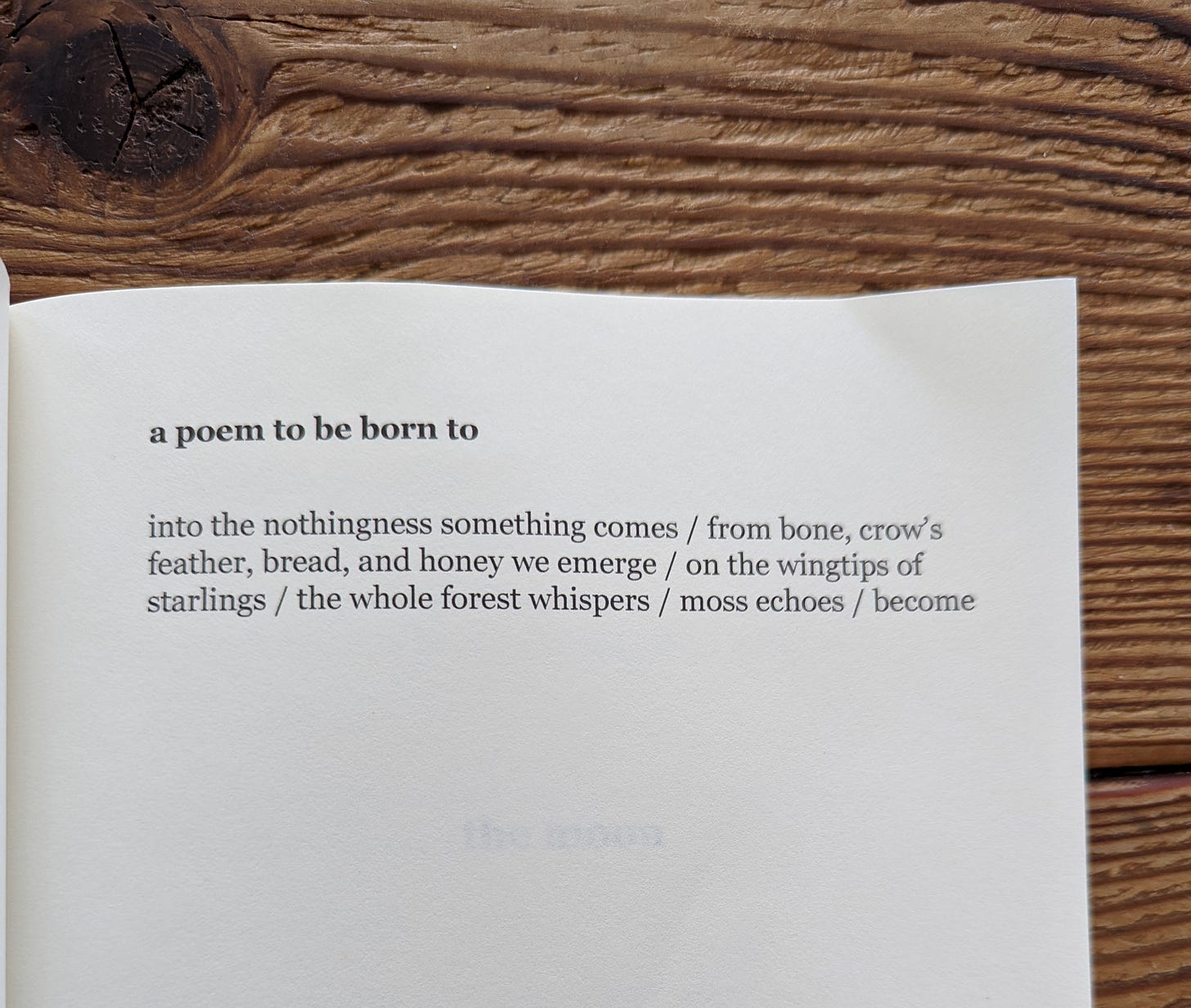 "a poem to be born to" photograph of a page from the book "moon sign" by Eryn Johnson with the poem "a poem to be born to": into the nothingness something comes / from bone, crow's feather, bread, and honey we emerge / on the wingtips of starlings / the whole forest whispers / moss echoes / become "a poem to be born to" photograph of a page from the book "moon sign" by Eryn Johnson with the poem "a poem to be born to": into the nothingness something comes / from bone, crow's feather, bread, and honey we emerge / on the wingtips of starlings / the whole forest whispers / moss echoes / become
