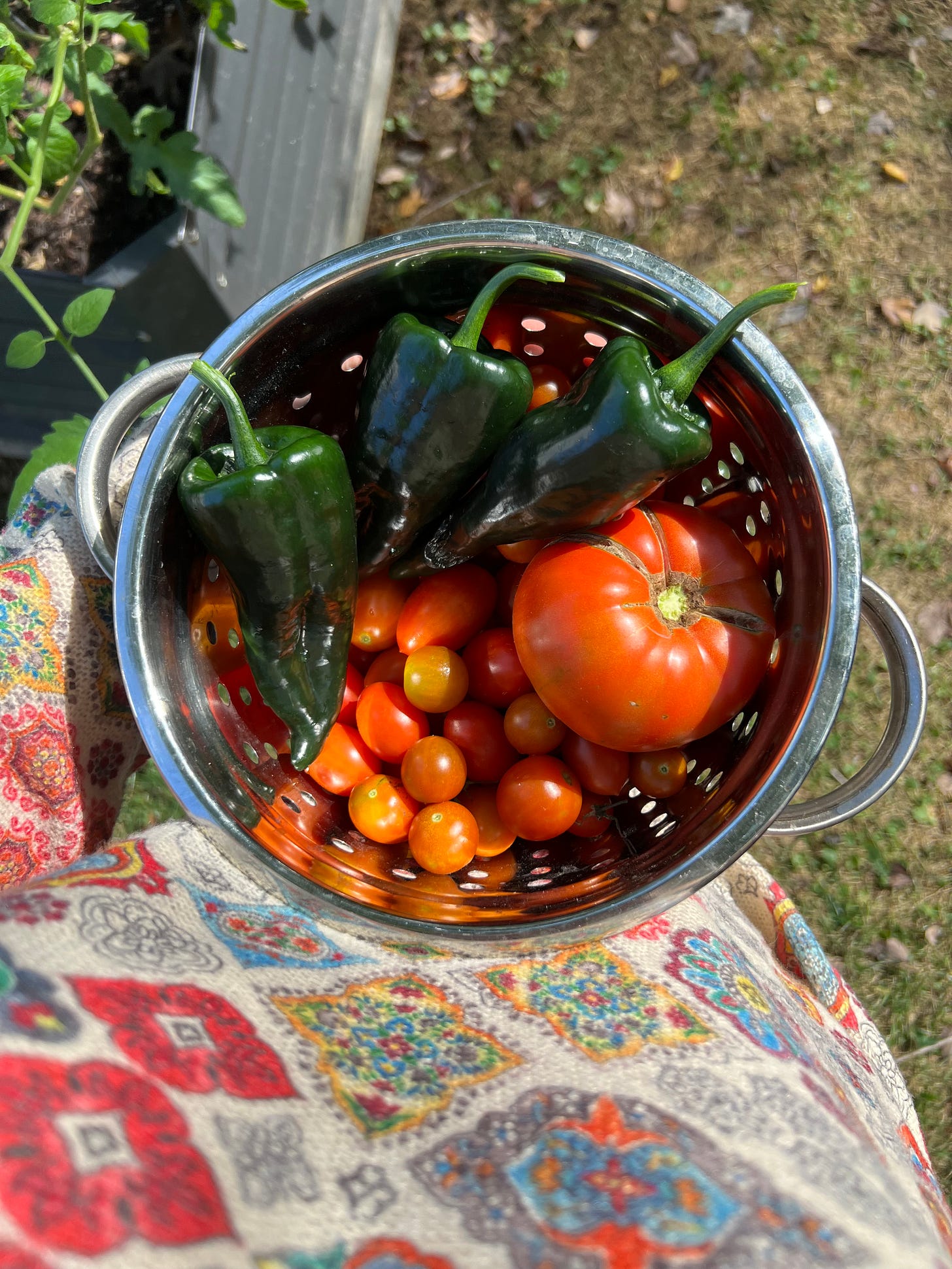 a colander filled with tomatoes and peppers