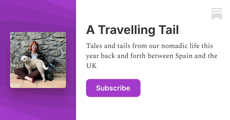 A Travelling Tail | Carly Minsky | Substack