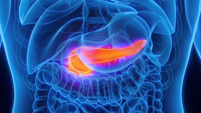 A glowing orange pancreas illustrated inside a human body A glowing orange pancreas illustrated inside a human body