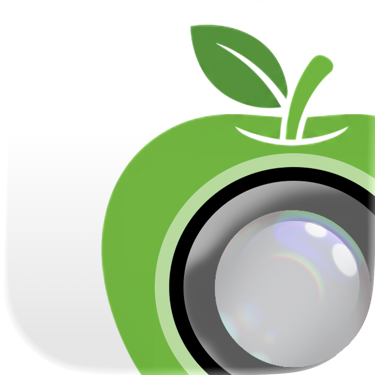 Nourish Lens Substack