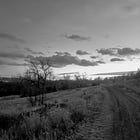 GOSPILLED Road Day 5-6