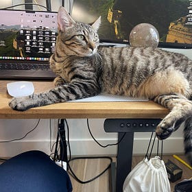 The Contrarian Pet of the Week