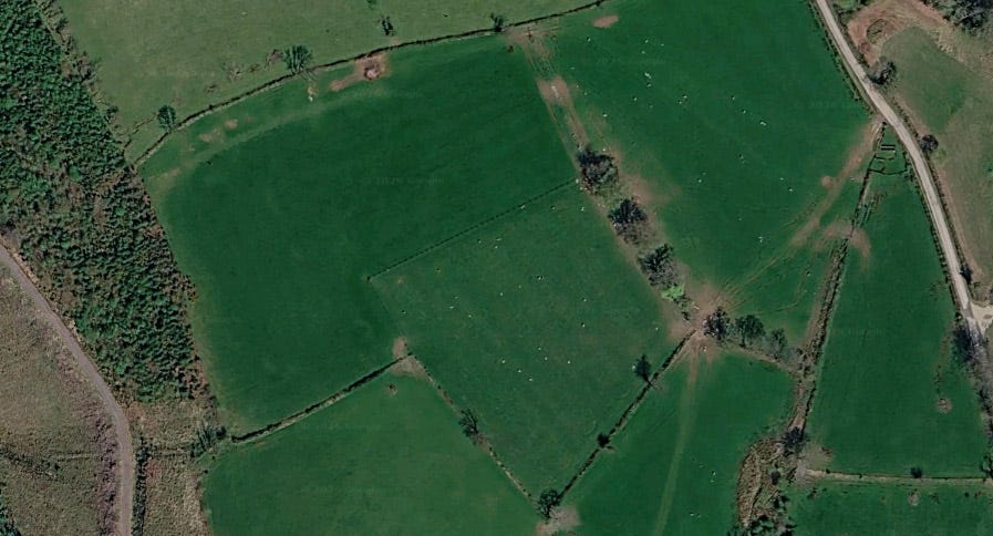 Mapping Soil by Sheep