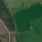 Mapping Soil by Sheep