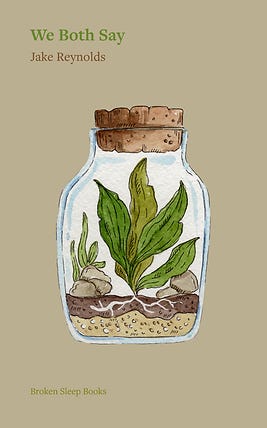 Cover of We Both Say by Jake Reynolds