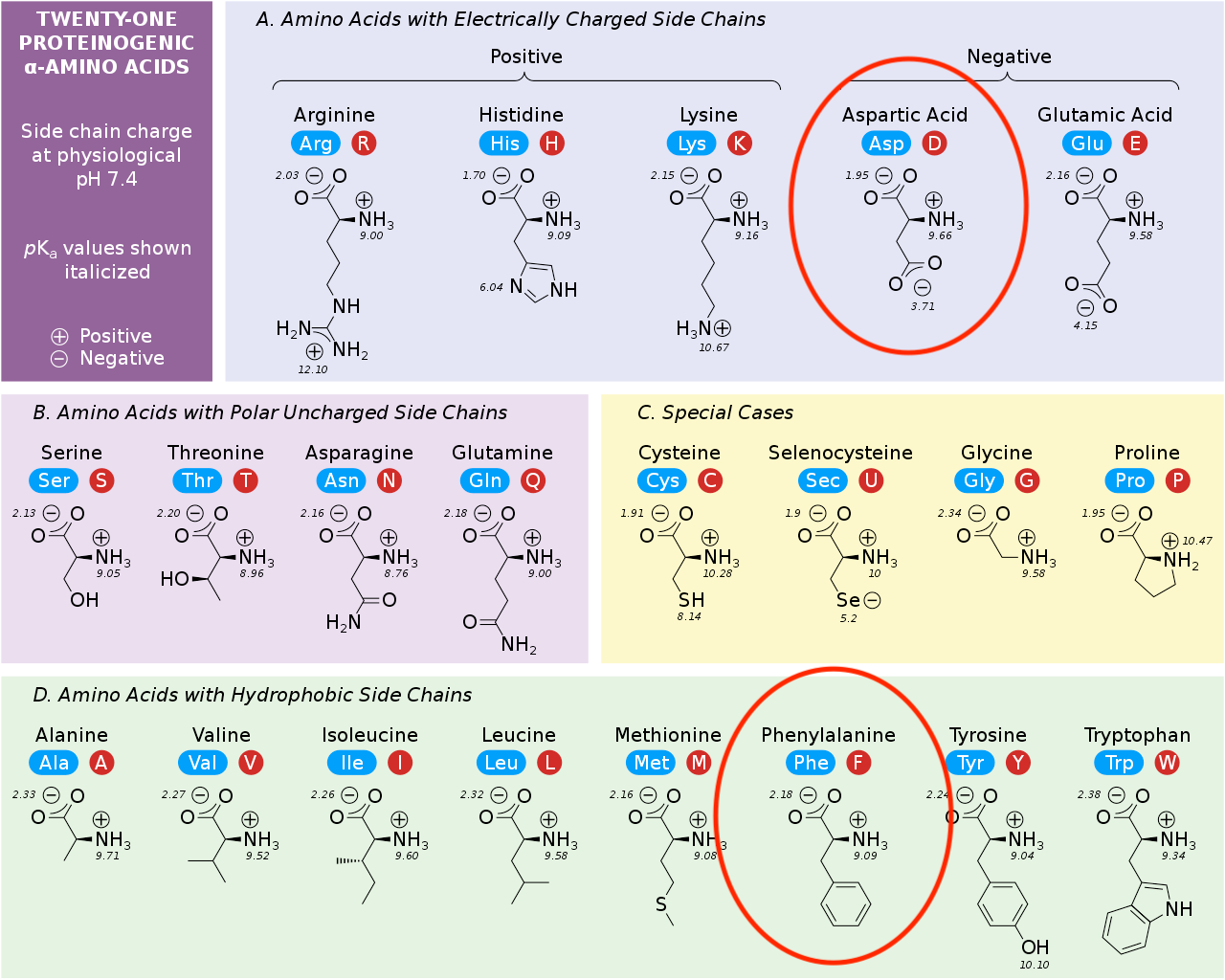 amino-acids