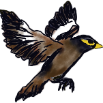 Being of Clay, Lover of Words