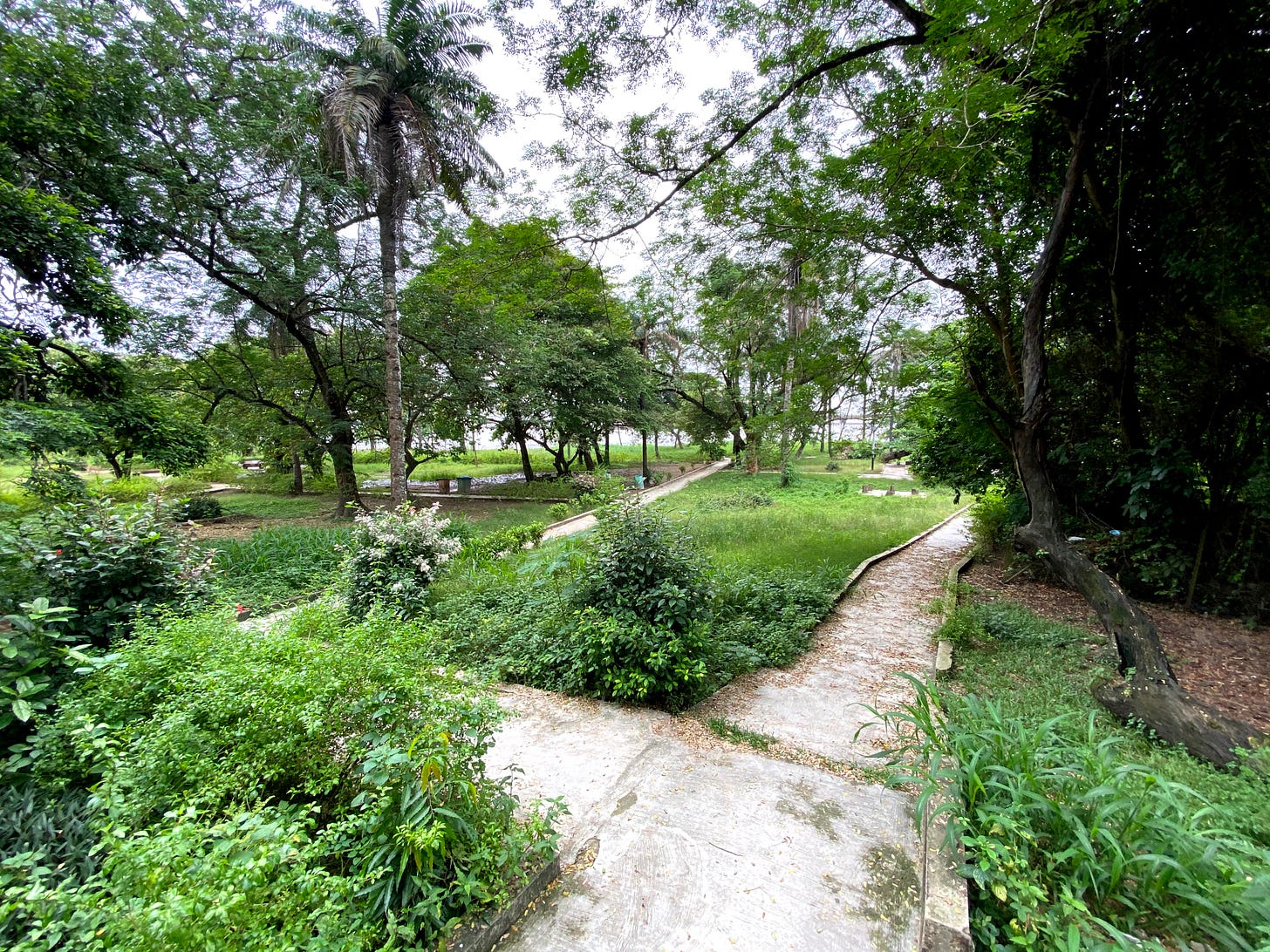 Sections of a garden. Photo by Osioke Itseuwa.