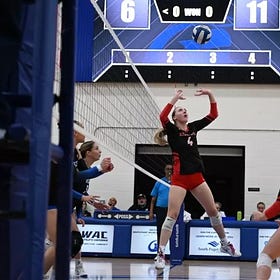 Red Devils Roundup: LCC volleyball loses out at Regionals