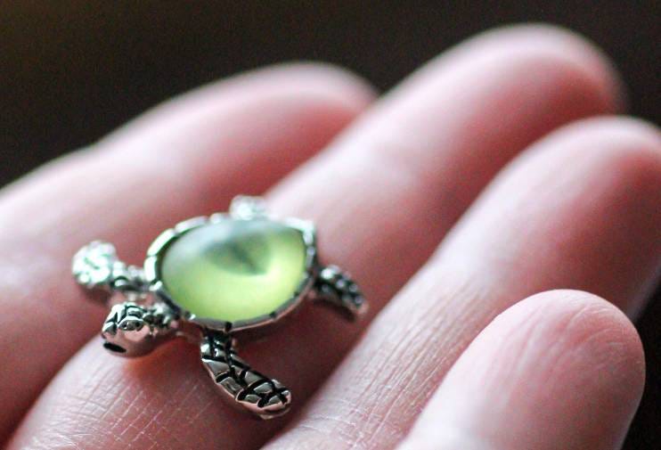 A silver turtle trinket A silver turtle trinket