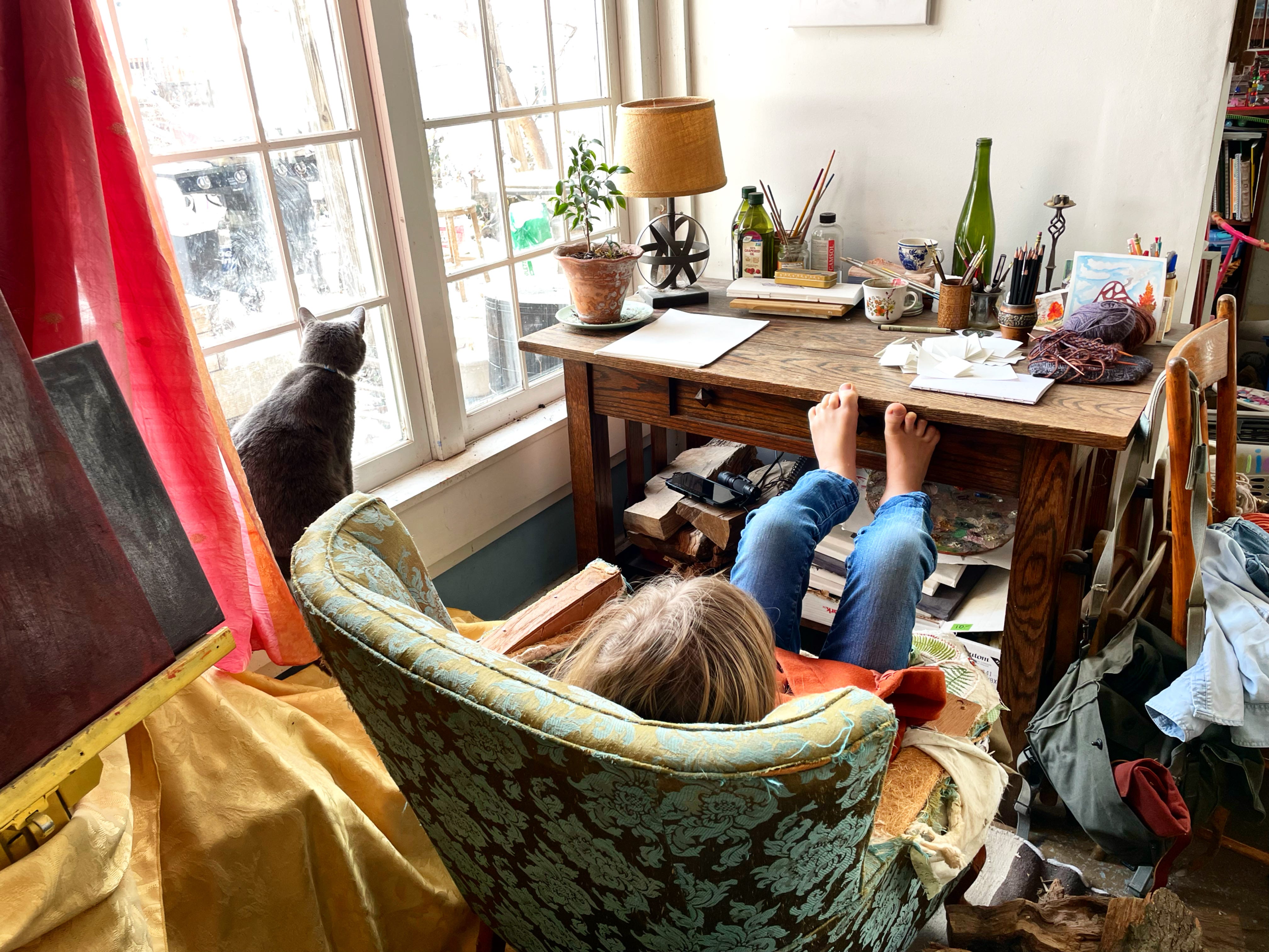 Town Mouse, Country Mouse; Clean House, Messy House, image size:4032x3024