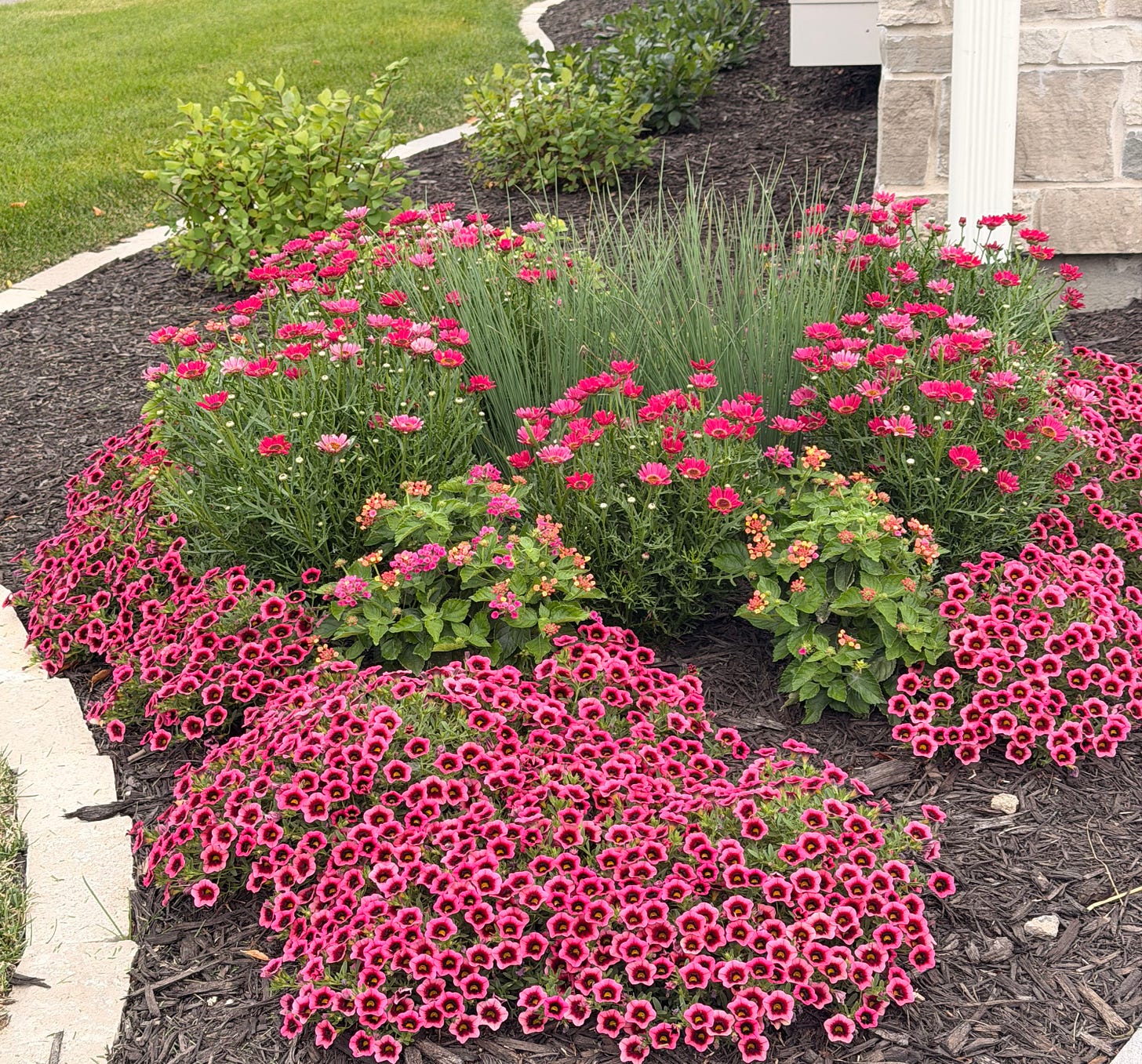 monochromatic gardens