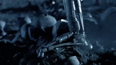 terminator-classic.gif | BigFooty Forum