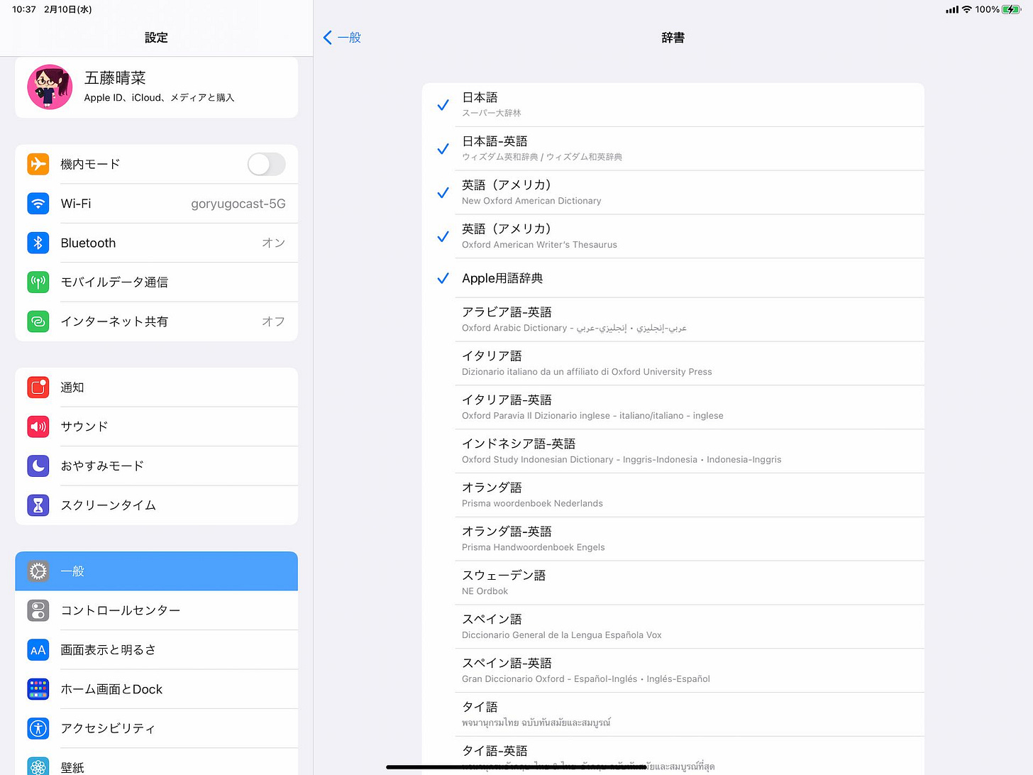 iPadの内臓辞書 iPadの内臓辞書